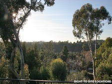 Enlarge photo 56