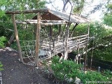Enlarge photo 81