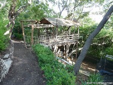 Enlarge photo 82