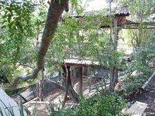 Enlarge photo 83
