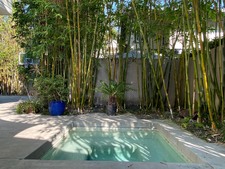Enlarge photo 48