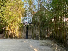 Enlarge photo 52