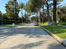 Enlarge photo 80