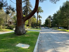 Enlarge photo 81