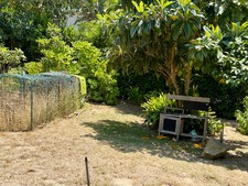 Enlarge photo 138