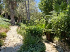 Enlarge photo 141