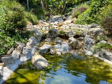Enlarge photo 144