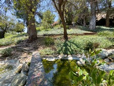 Enlarge photo 146
