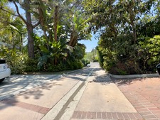 Enlarge photo 156