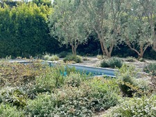 Enlarge photo 79