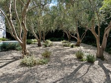 Enlarge photo 84