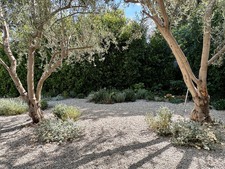 Enlarge photo 85