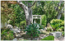 Enlarge photo 12