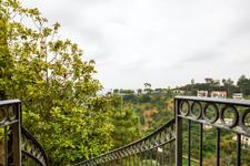 Enlarge photo 146