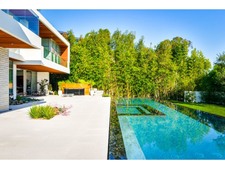 Enlarge photo 56