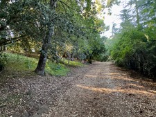 Enlarge photo 44