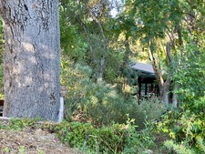 Enlarge photo 65