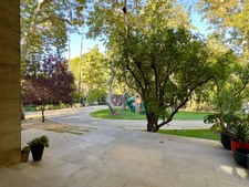 Enlarge photo 81