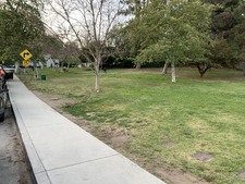 #4 Silverlake Reservior / "Grassy Patch"