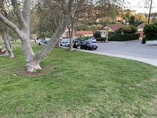 Enlarge photo 30