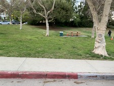 Enlarge photo 33