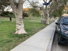 Enlarge photo 34