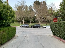 Enlarge photo 38
