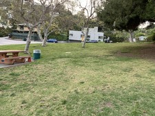 Enlarge photo 45