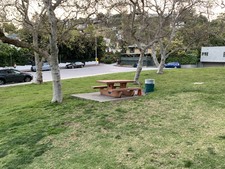 Enlarge photo 46