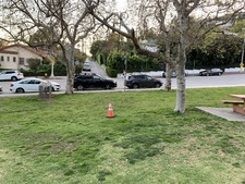 Enlarge photo 47