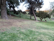 Enlarge photo 51