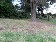 Enlarge photo 52