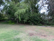 Enlarge photo 53