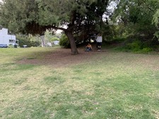 Enlarge photo 54