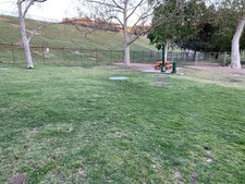 Enlarge photo 56