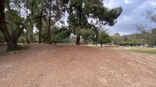 Enlarge photo 18