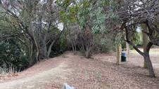 Enlarge photo 24