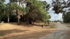 Enlarge photo 31