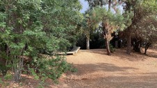 Enlarge photo 32
