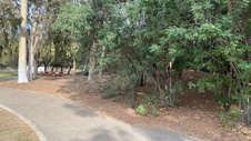 Enlarge photo 33