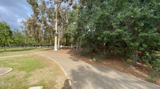 Enlarge photo 35