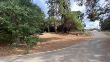 Enlarge photo 36