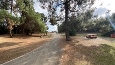 Enlarge photo 37