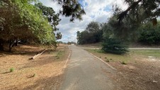 Enlarge photo 38