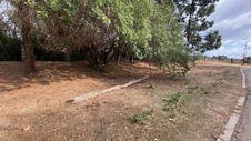 Enlarge photo 39
