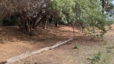 Enlarge photo 40