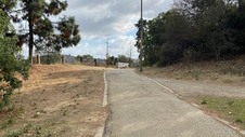 Enlarge photo 41