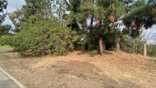 Enlarge photo 43