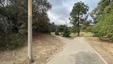 Enlarge photo 45