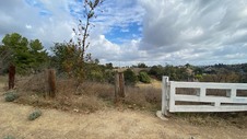 Enlarge photo 48